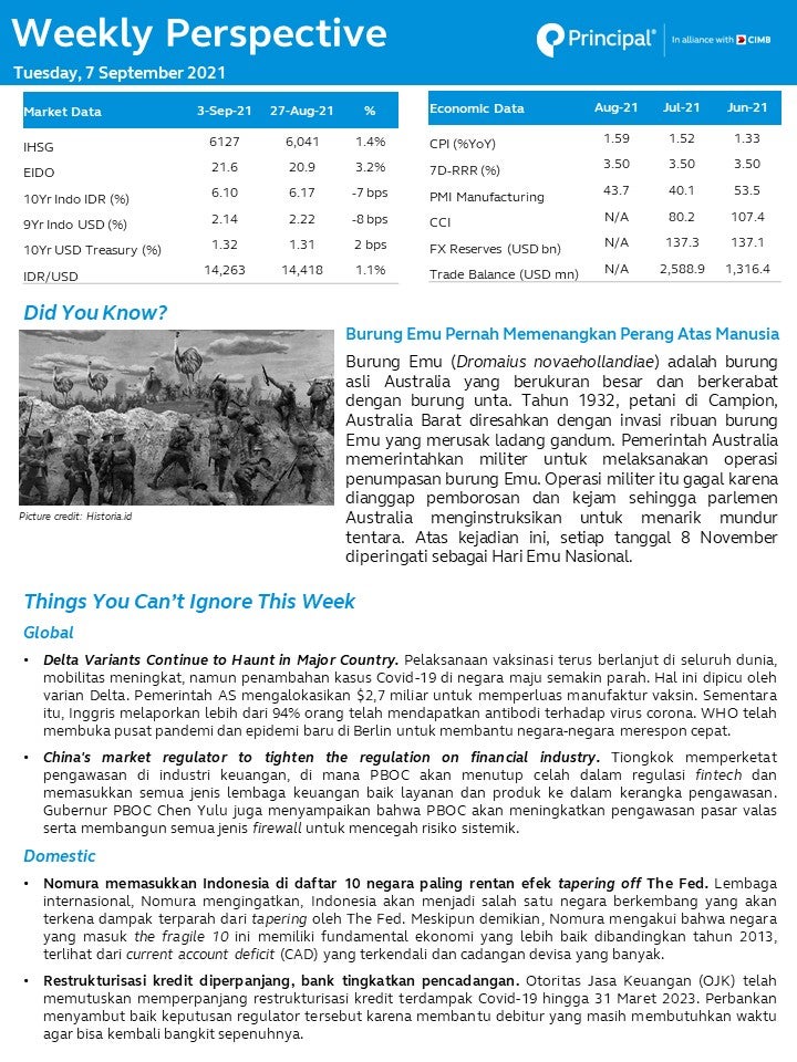 weekly perspective 7 sep 2021 