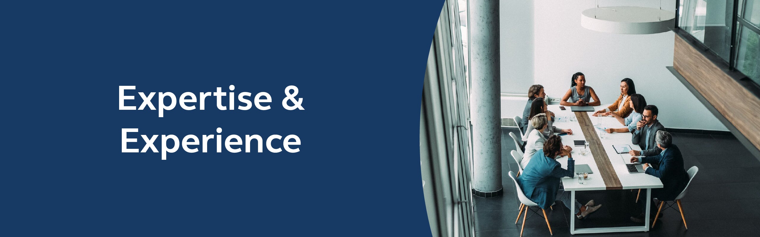 Expertise and Experience