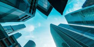 Weekly Perspective 29 Jul 2025