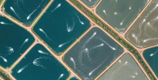 Weekly Perspective 13 April 2026